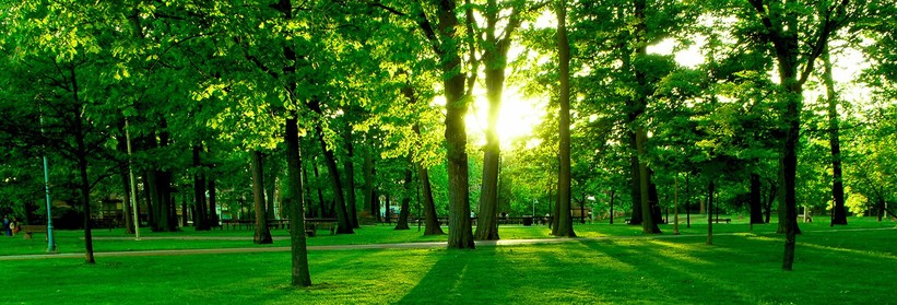 Gestor medioambiental Barcelona